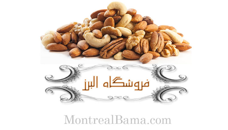 فروشگاه البرز