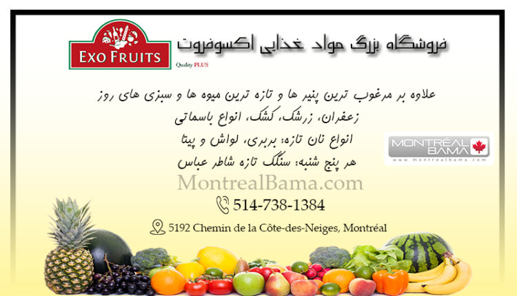 فروشگاه بزرگ مواد غذایی اکسوفروت