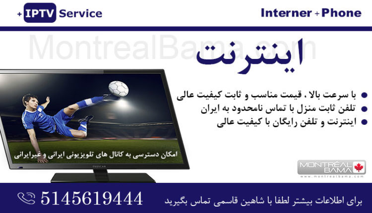 شاهین قاسمی