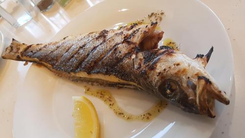 Poissonnerie-Mediterranee-fish
