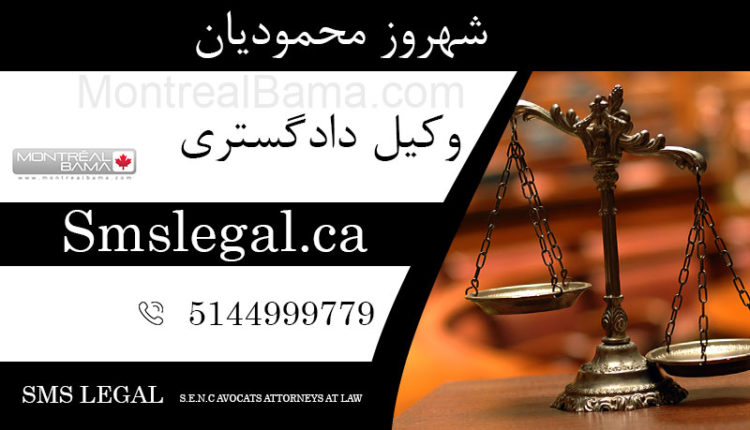 شهروز محمودیان